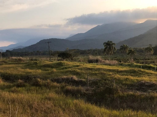 Imagem 29 de 29 de Fazenda À Venda, 3509000 M² Por R$ 2.000.000 - Centro - Pariquera-açu/sp - Fa0216