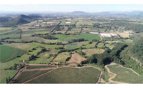 Fundo El Paso. Gran Suelo Agrícola De 128 Ha.