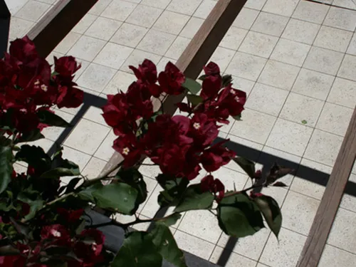 Molde Para Mosaicos, Baldosas, Travertino 40x40 Por 10 Unid