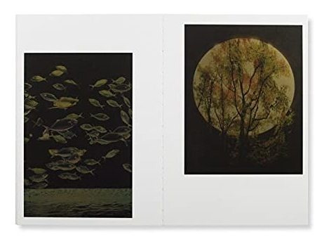 Book : Albarran Cabrera Remembering The Future (assorted) -