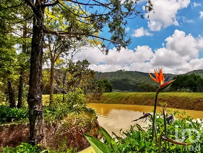Rancho en venta