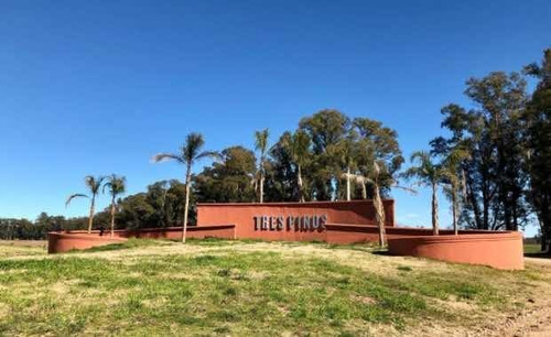 Imagen 3 de 5 de Vendo Lote Barrio Tres Pinos ( Barrio Laguna )