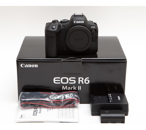  Canon Eos R6 Mirrorless Digital Camera With Rf 24-105mm