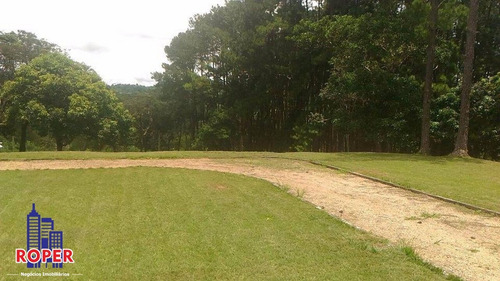 Imagem 6 de 14 de Linda Chácara Com Escritura De 18.000 Metros À Venda Em Atibaia. - Ch00844 - 68082678