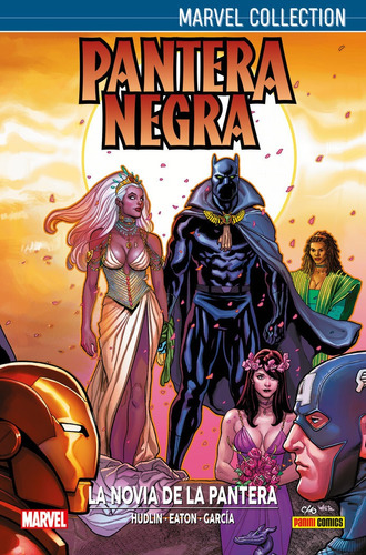 Pantera Negra, De Hudlin, Reginald. Editorial Paninicomics, Tapa Dura En Español