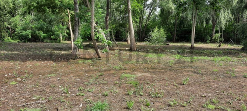 Imagen 3 de 13 de Venta - Lote - Terreno - Isla Del Caraguata - Islas Del Delta - Tigre