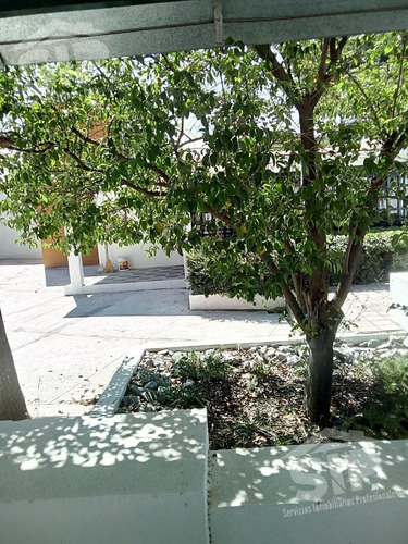 Vendo Terreno Con Casa De Un Piso Col La Aurora En Saltillo
