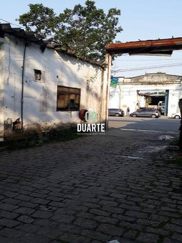 Imagem 3 de 12 de Terreno - Te00062 - 69901040