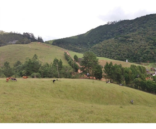 Imagem 23 de 30 de Fazenda Bem Localizada À Venda Em Juquitiba. - 15 - 32982853