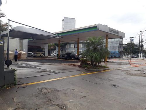 Imagem 7 de 7 de Terreno Para Alugar, 800 M² Por R$ 35.000,00/mês - Ipiranga - São Paulo/sp - Te0002