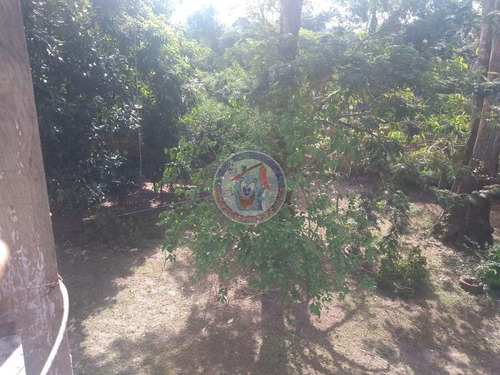 Imagem 5 de 30 de Chácara Com 4 Dorms, Jardim Coronel, Itanhaém - R$ 300 Mil, Cod: 6014 - V6014