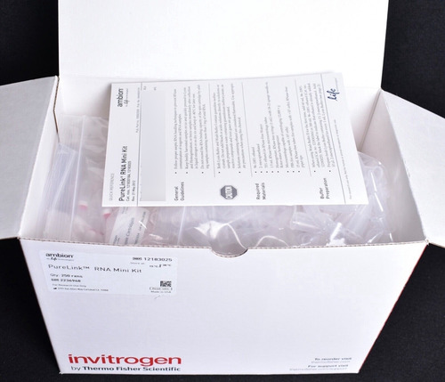 Minikit De Arn Purelink Invitrogen 250 Preps Codigo 12183025