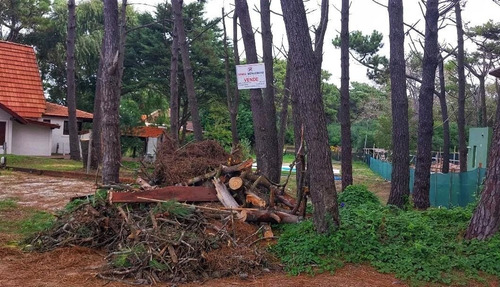 Imagen 2 de 4 de Lote Exclusivo, Apto Para 2 Unidades A 120 Mts De La Playa.