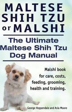 Maltese Shih Tzu Or Malshi. The Ultimate Maltese Shih Tzu...