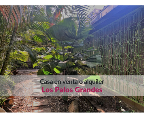 Casa En Alquiler O Venta En Los Palos Grandes En Esquina Con Anexo