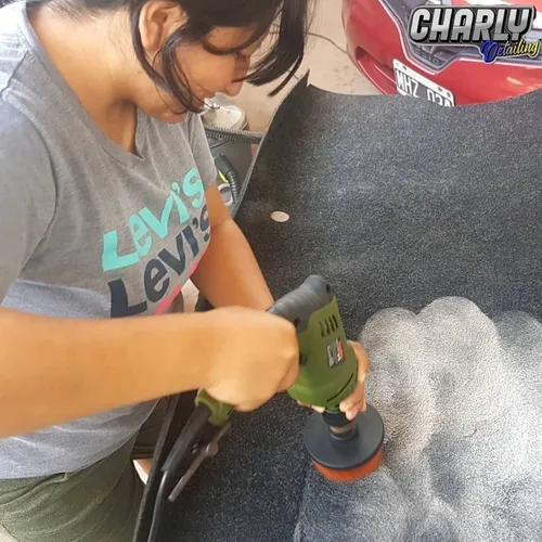 Curso Intensivo De Limpieza De Tapizados