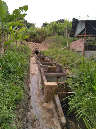 Imagen 7 de 11 de Mg/ En Venta Granja En Peribeca Sector El Ceibal