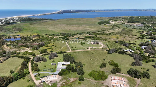 Chacra En Venta De 1 Ha. En Jose Ignacio, Zona Medellin