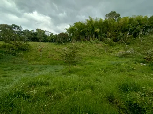Hermoso Lote En Filandia Quindio Con Escritura