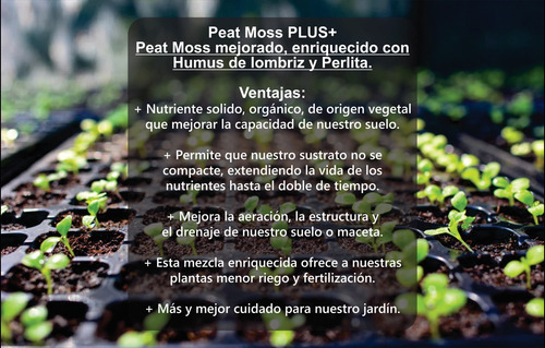 Sustrato Peat Moss Germinador De Semillas Maceta Jardín 3.8l