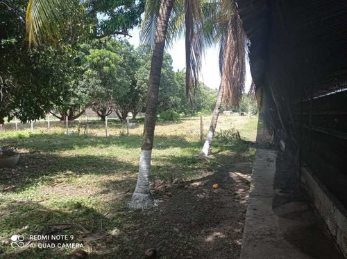 Finca De 12 Hectareas De Gallinas Ponedoras En Villa De Cura