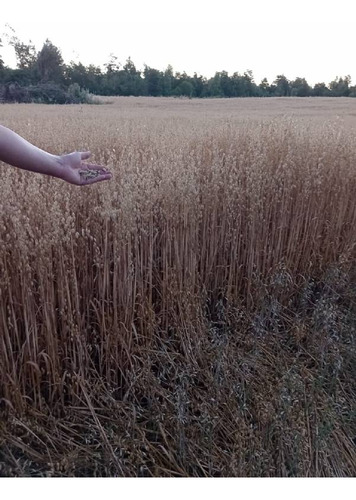 Se Vende Hermoso Campo En La Unión