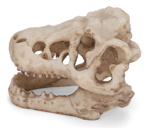 Acuario Artificial Con Decoración De Calavera De Dinosaurio