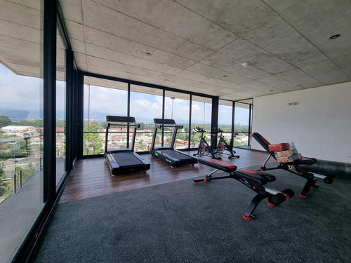 Imagen 4 de 4 de Apartamento En Renta Zona 11 Aralia 2 Mariscal