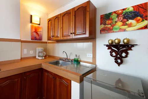 Apartamento Completamente Amoblado, Sala Comedor, Cocina.
