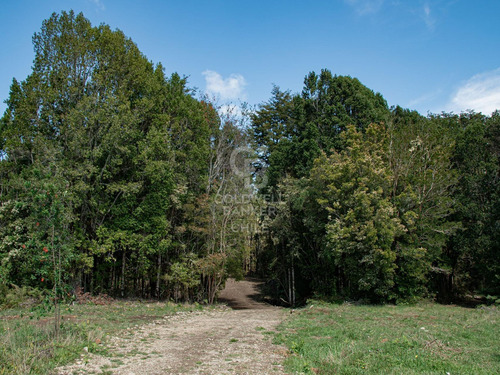 Inmersas En Bosque, Con Orilla De Rio Y Vista Al Lago.