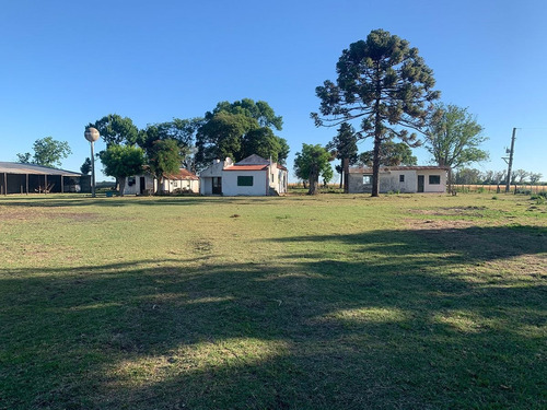 Campo En Venta En Paysandú Ref. 1695