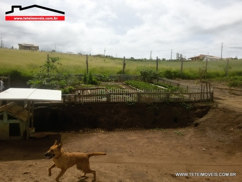 Chácara Em Pinhalzinho Com 1.000 M² De Terreno. - 72