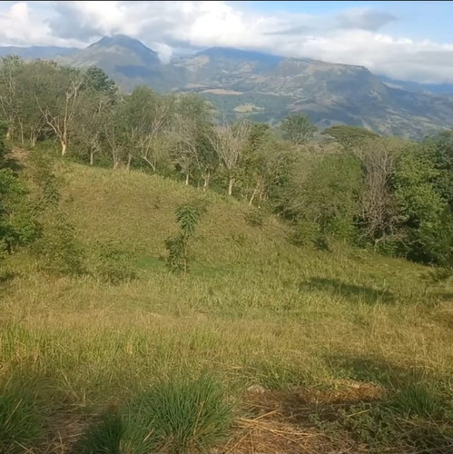 Venta De Lote Venecia Antioquia Parcelacion Jardines Del Suroeste