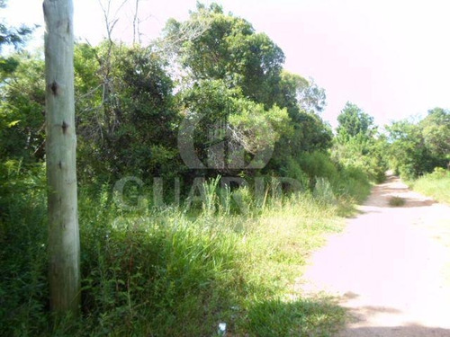 Imagem 2 de 8 de Sitio - Lami - Ref: 149462 - V-149462