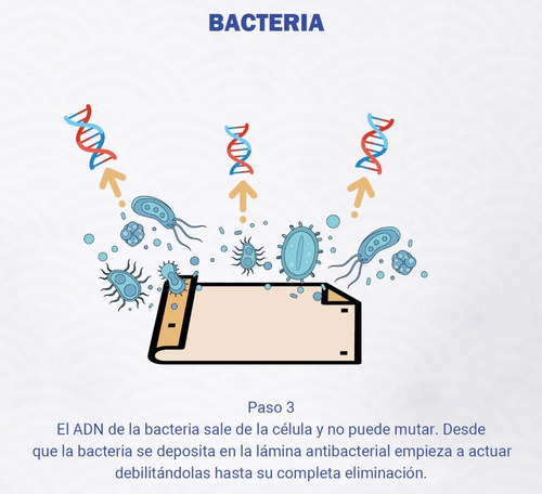Lamina Antibacterial De Cobre - Anti Covid 19