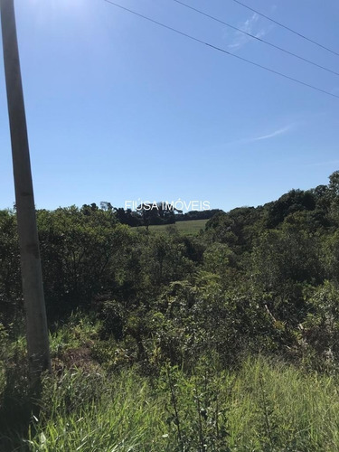 Imagem 6 de 11 de Fazenda - Fa00003 - 69374597