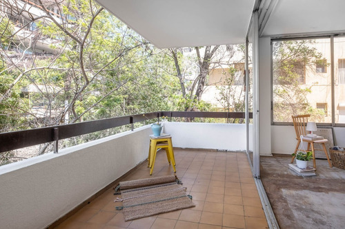 Imagen 14 de 29 de Espectacular Para Remodelar En Avd. Pocuro