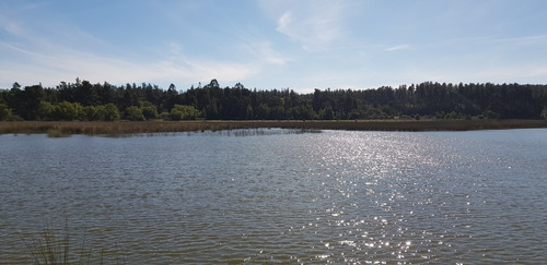 Imagen 14 de 30 de Oferta Terreno En Laguna Torca Lago Vichuquén