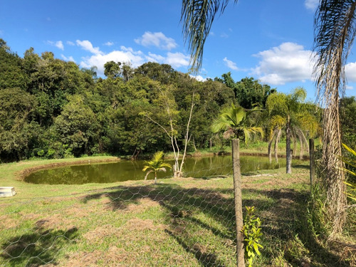 Imagem 11 de 30 de Chácara Com Lago E Nascente Em Ibiúna Cod: 1082