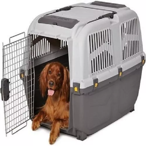 marxismo Nevada raya Transportadora Perros Grande Usadas | MercadoLibre 📦