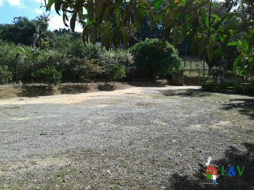 Imagem 8 de 13 de Excelente Terreno - 841