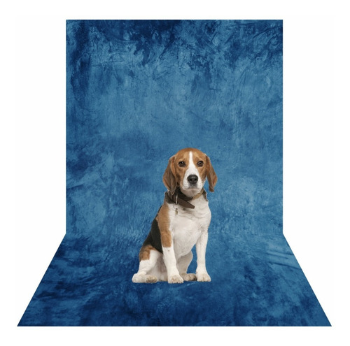 Fundo Fotográfico Pet Shop 1,20 X 1,70 M Tecido Sublimado 3d Cor Textura - Ja1215 Desenho Impresso Modelos