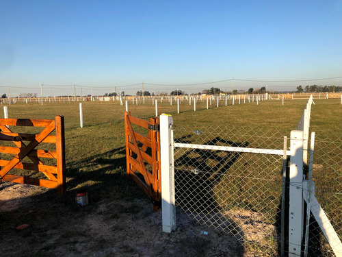 Lote Barrio Privado Estancias Domselaar Chico