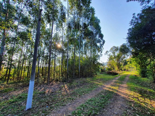 Terreno 9600m2 À Venda Em São Sebastião Do Caí, Rs.