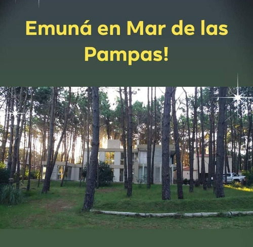 Emuná En Mar De Las Pampas