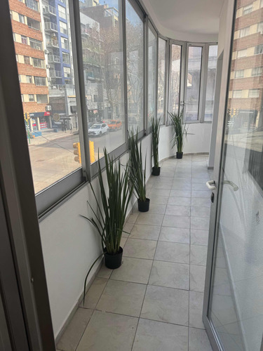 Alquiler Apto Pocitos 2 Dorm Simón Bolívar Rivera 1 Esc Fte