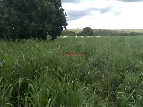 Imagem 5 de 9 de Fazenda Com 1.076,40 Hectares Na Região Duere, Tocantins. - Fa00023 - 69448240