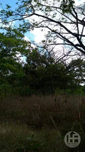 Chácara À Venda 8,87 Hectare - Ch0012