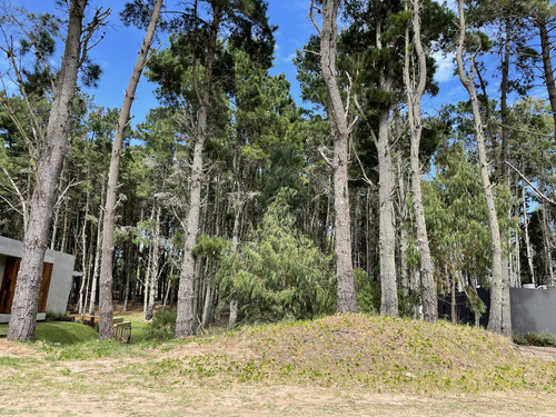 Terreno En Barrio Senderos Iii, Costa Esmeralda.