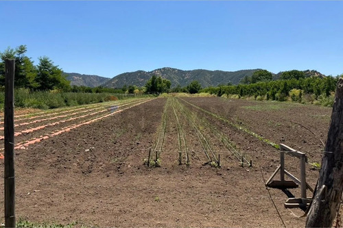 Terreno Agrícola En Rauco: Inversión Ideal